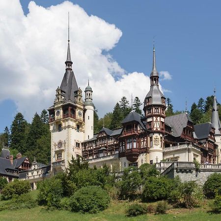 Apartament Mont Blanc Sinaia Buitenkant foto