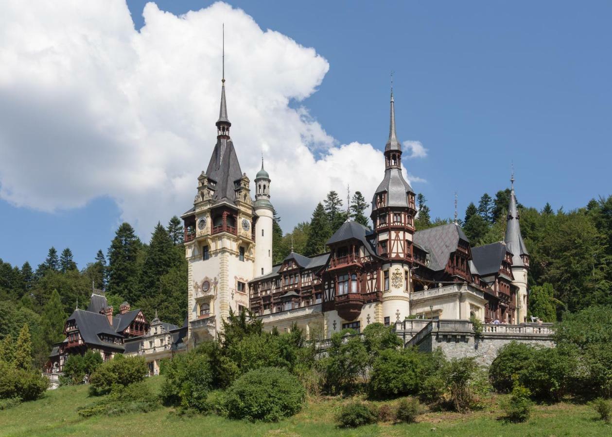 Apartament Mont Blanc Sinaia Buitenkant foto